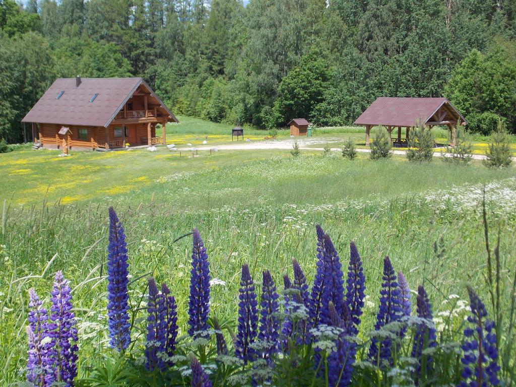 Guest House Kalnini Kārļi Dış mekan fotoğraf