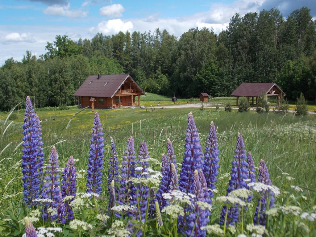 Guest House Kalnini Kārļi Dış mekan fotoğraf